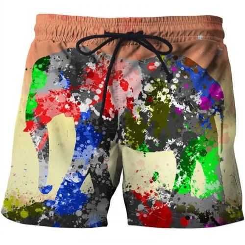 Sea male suit casual Short Quick Dry Running Swimwear 3D Lion Printed