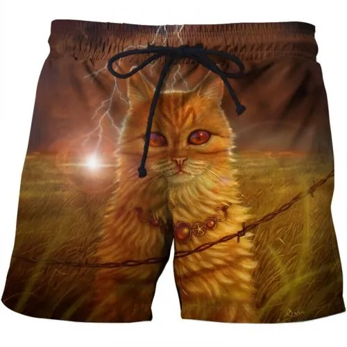 Sea male suit casual Short Quick Dry Running Swimwear 3D Lion Printed